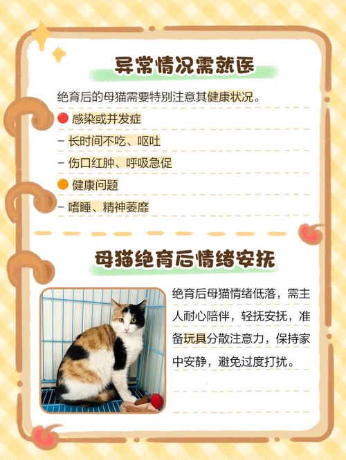 母猫绝育手术后需要进行哪些护理和注意事项?