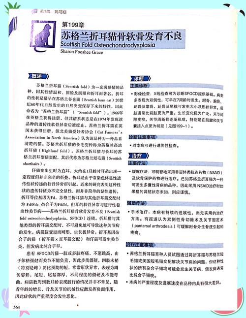 猫咪软骨病怎么治疗