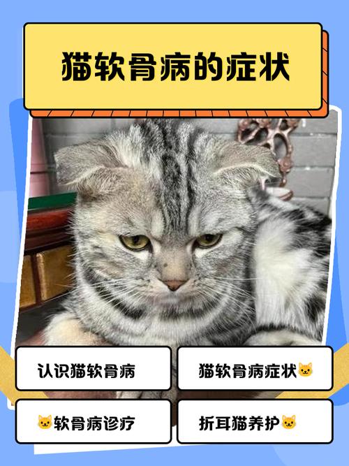 猫软骨病可以恢复吗