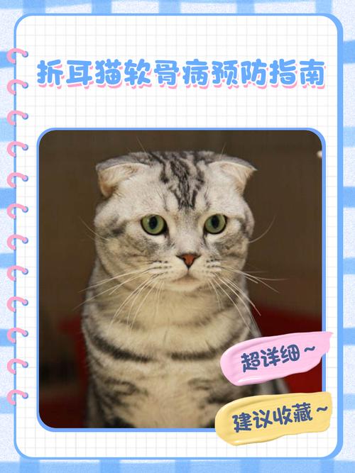 猫咪软骨病能治好吗