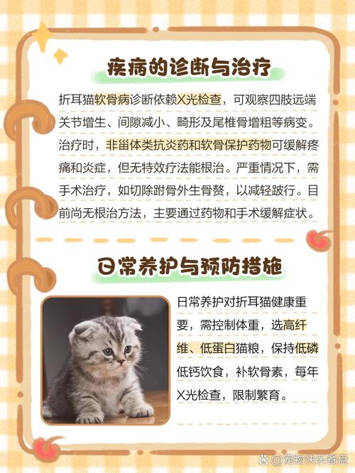 折耳猫软骨病怎么治疗