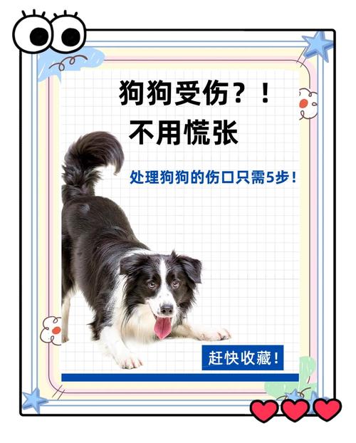 狗狗被夹伤了怎么处理?