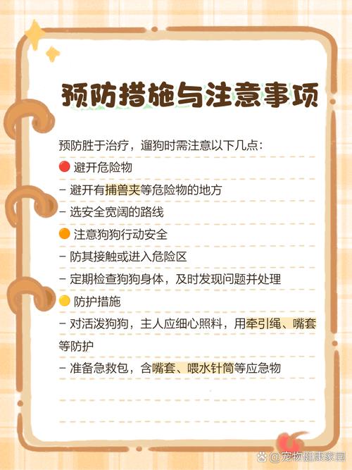 狗子被门夹伤腿,怎样治疗比较合适?