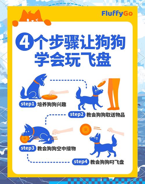 如何训练狗狗接飞盘