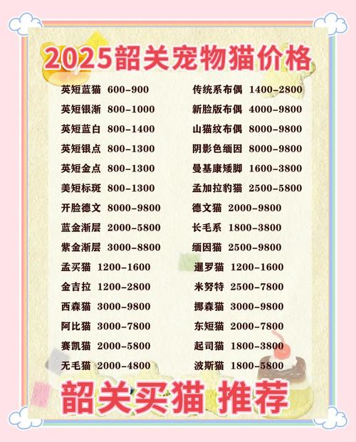 美短猫多少钱一只