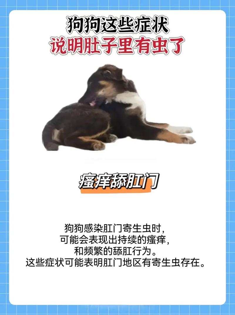 狗狗体内有虫子的症状有哪些