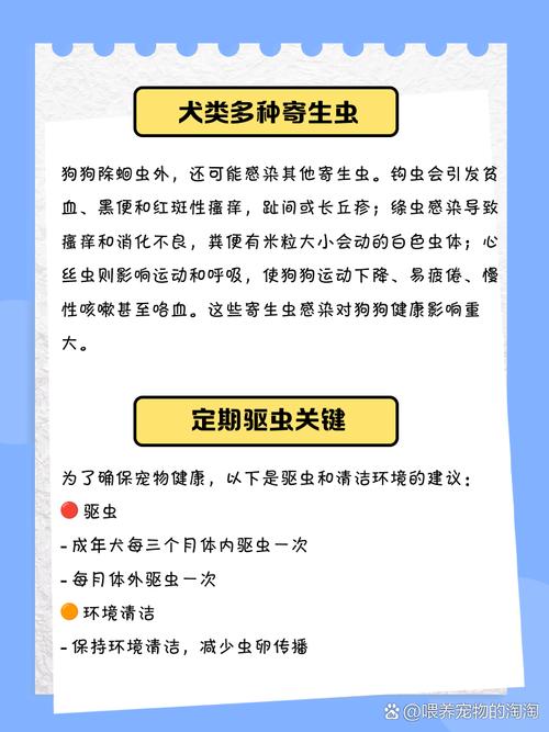 狗狗肚子有虫子的症状有哪些?