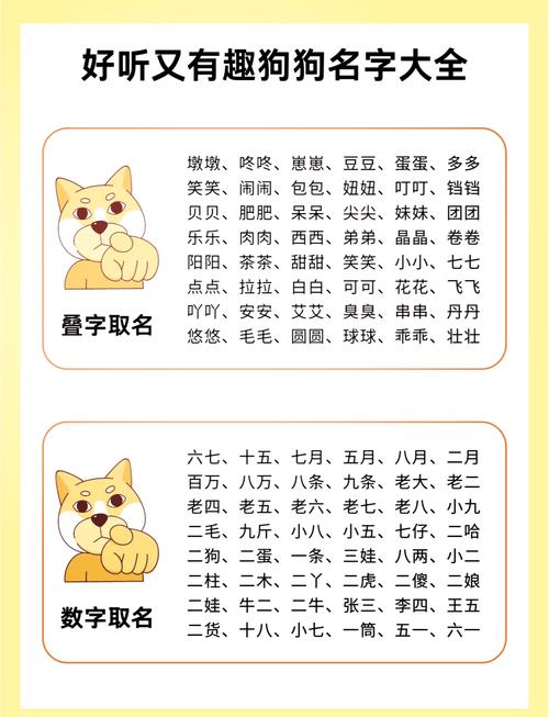 给狗狗起名字