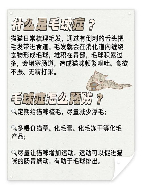 猫咪毛球症怎么治