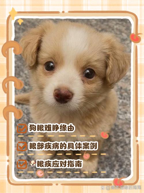 我家小狗不睁眼,怎么扒开?