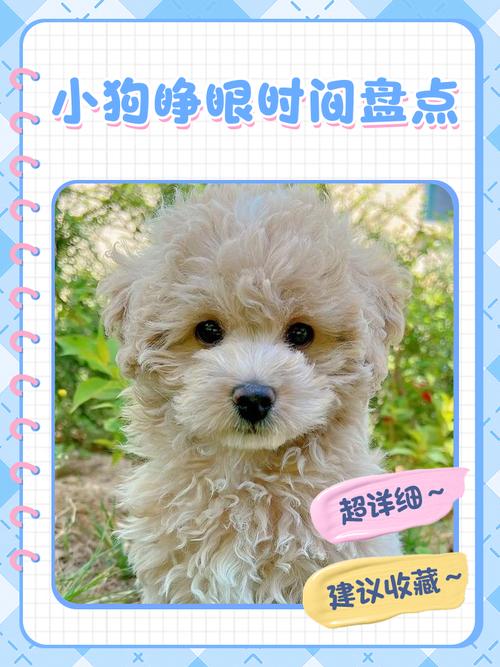 狗狗出生10几天,眼睛没开怎么办?