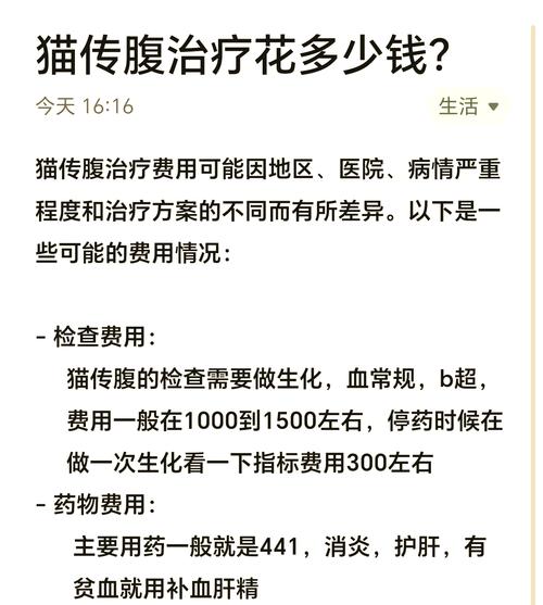 猫咪得猫传腹一般需要花多少钱啊?