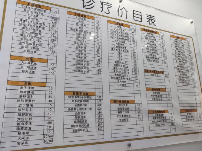 猫咪去医院生产多少钱