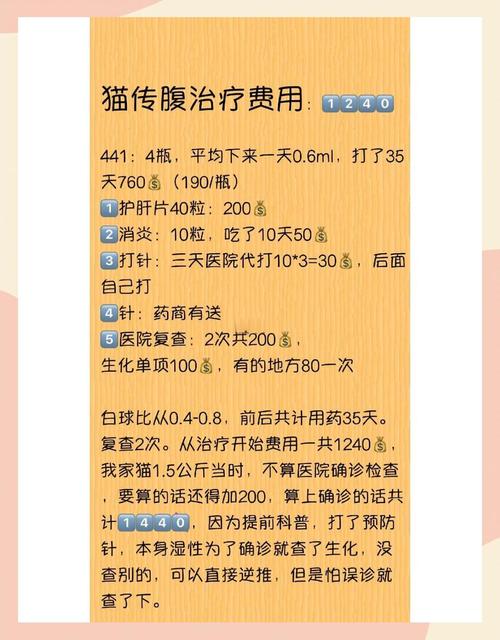 猫做剖腹产需要多少钱?