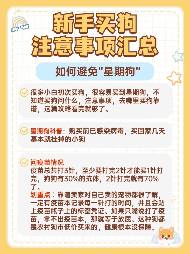 买狗需要注意什么东西