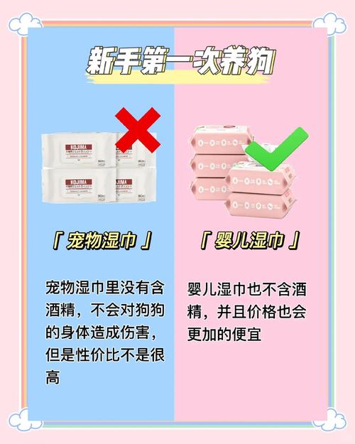 买狗狗时要注意什么