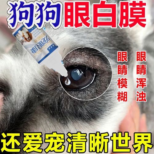 狗白内障用什么药