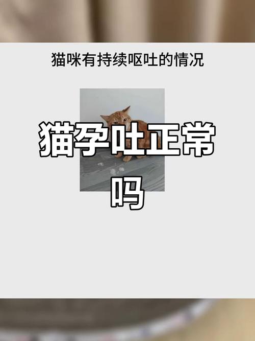 猫怀孕会吐吗