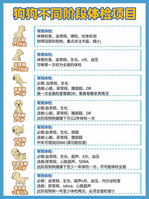 宠物狗狗体检都有哪些项目?快来看这篇!