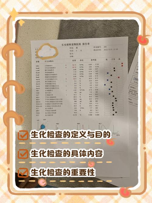 狗狗检查身体需要花多少钱啊?