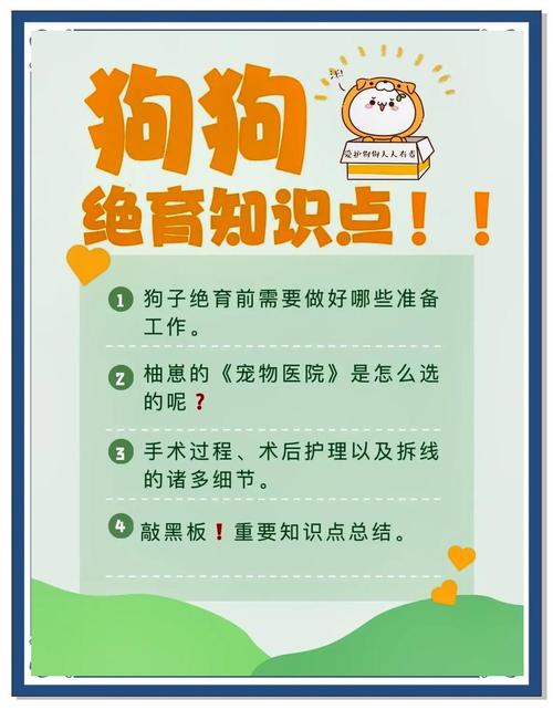 狗狗绝育后需要注意哪些?