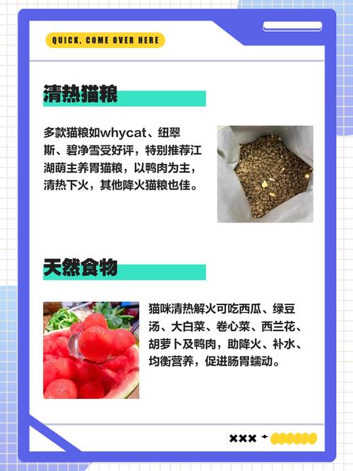 猫上火了吃什么降火