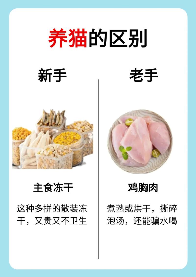 猫咪贫血吃什么