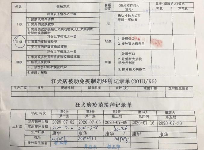 打狂犬疫苗大约多少钱?