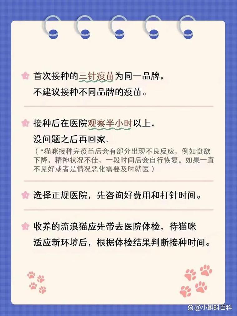 小猫咪刚打完疫苗可以洗澡吗?