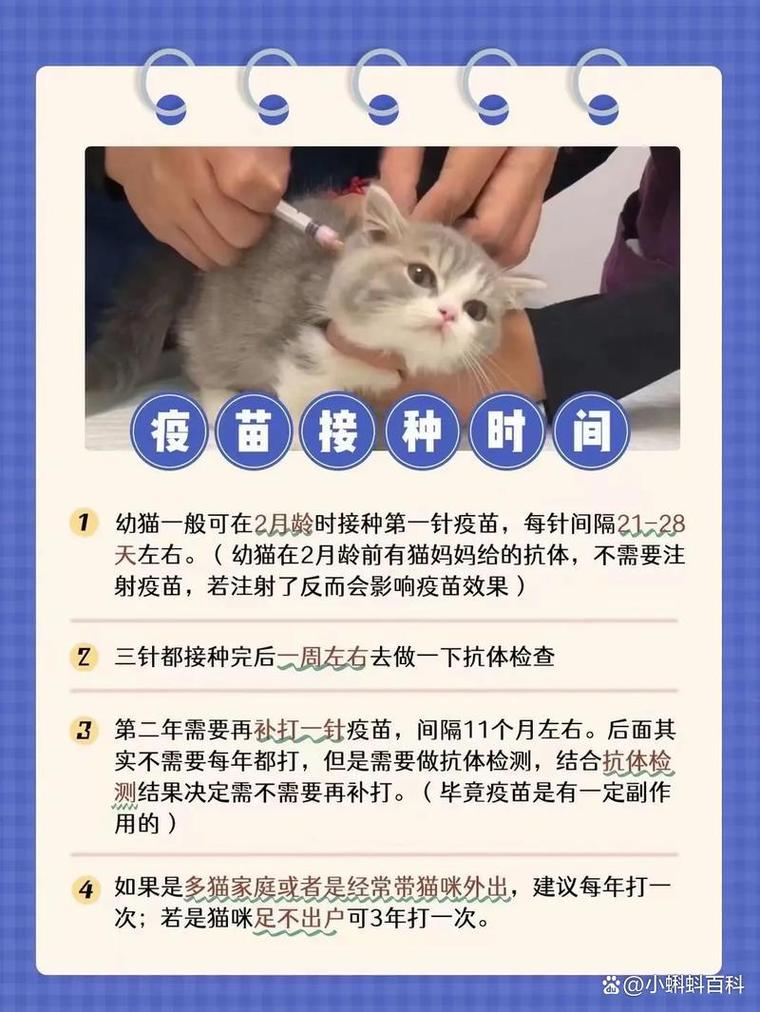 猫打完妙三多几天可以洗澡