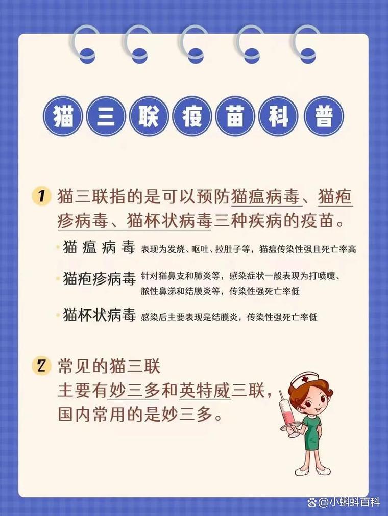 猫咪洗澡攻略Get|让猫咪不再惧怕洗澡