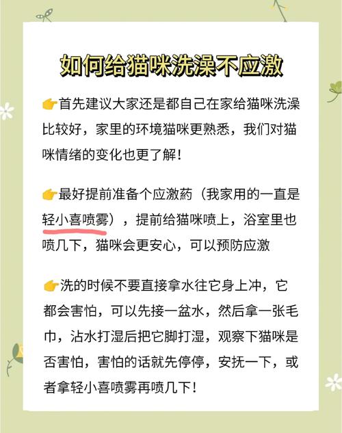 猫咪打猫三联期间可以洗澡么