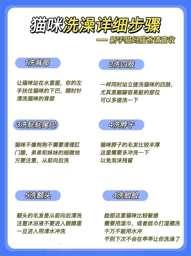 打完猫三联后注意事项