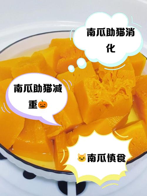 猫能不能吃蒸熟的南瓜