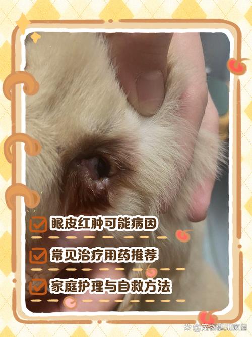 狗狗抹红霉素不怕舔吗