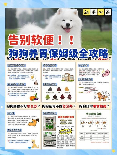 狗狗肠胃不好吃什么药比较好