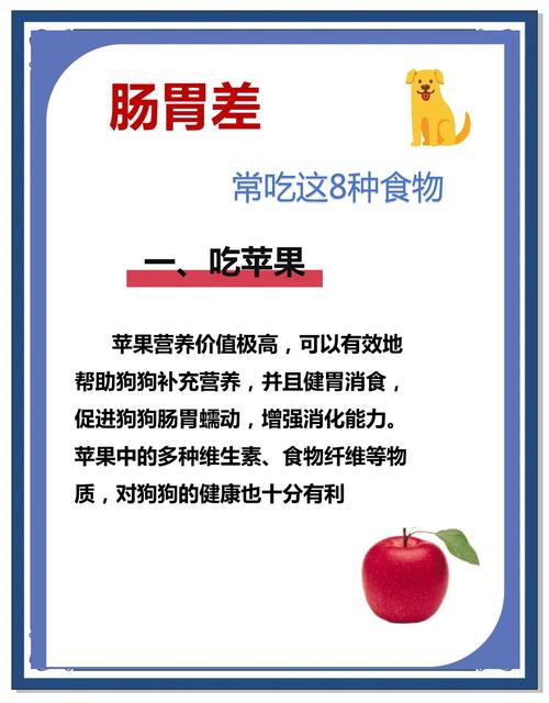 泰迪肠胃不好吃什么药缓解呢