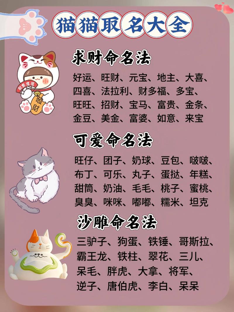 猫咪取名大全