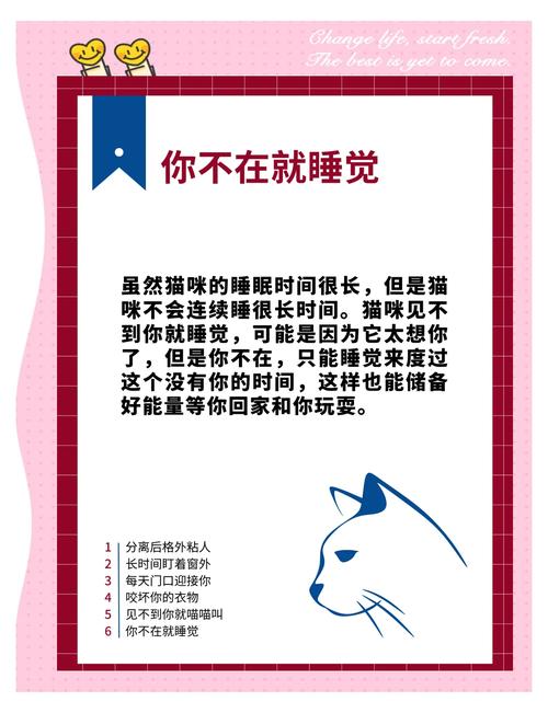 猫会想念主人吗