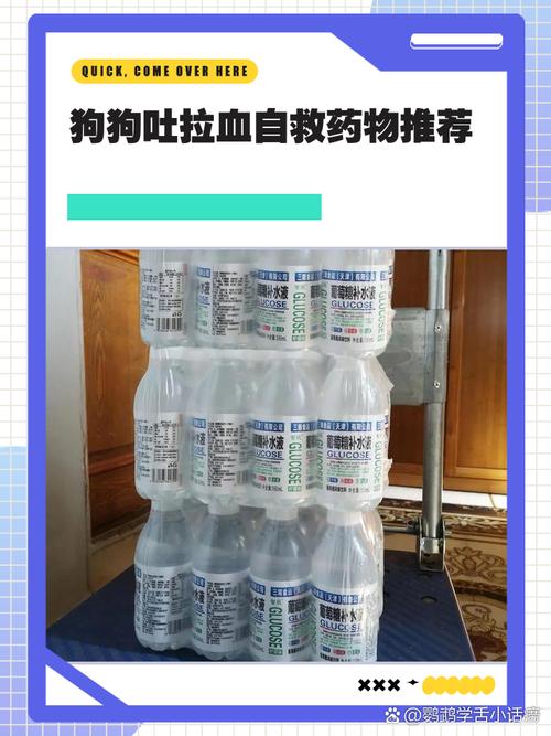 小狗吐拉血吃什么药好