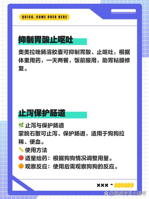 狗狗拉血呕吐吃什么药