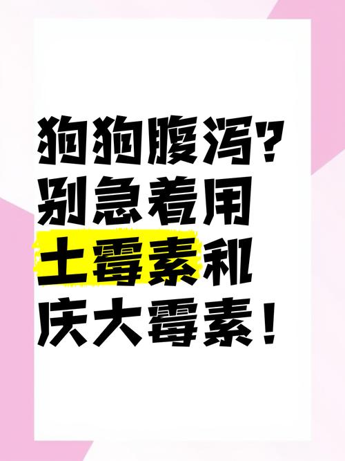 狗狗服用庆大霉素一天多少量??