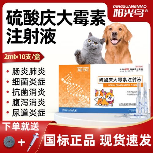 庆大霉素可以给狗吃吗