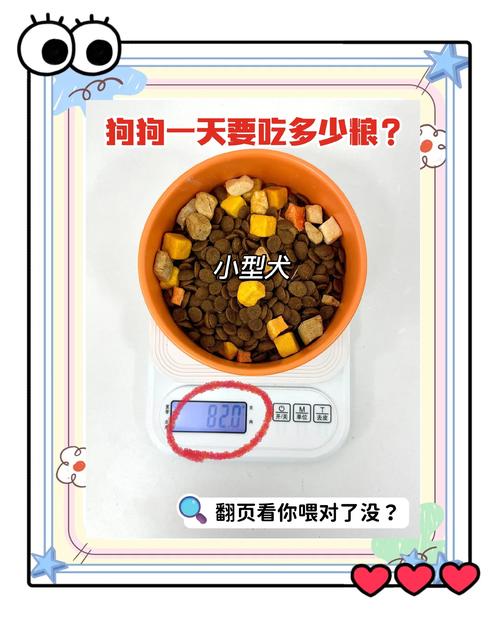 6个多月狗狗可吃多少狗粮