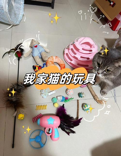 猫喜欢什么玩具