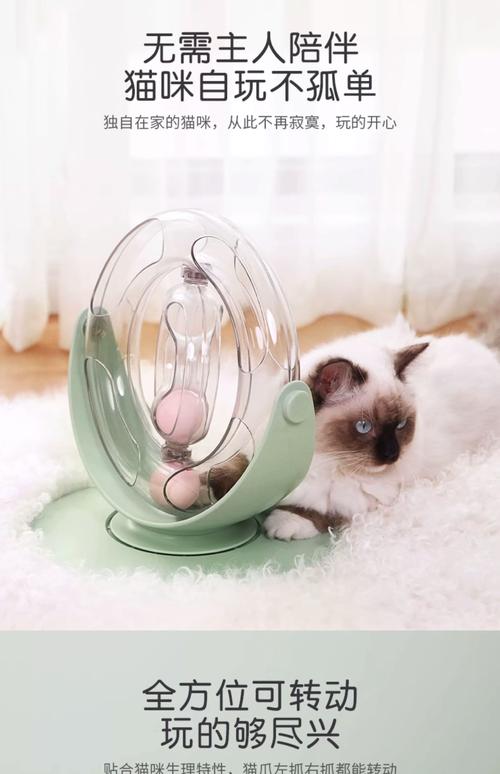 猫咪最喜欢的玩具有哪些?