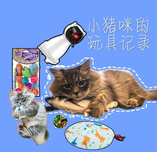 前十猫咪喜爱的玩具盘点猫咪的玩具有哪些