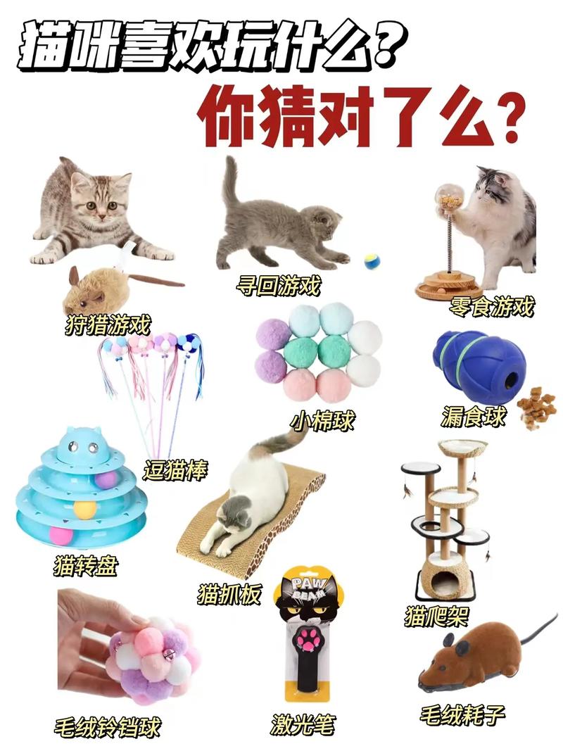 猫喜欢什么东西