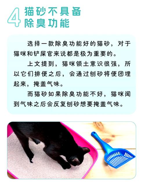 猫咪故意把猫砂刨出来,主人该怎么办呢?