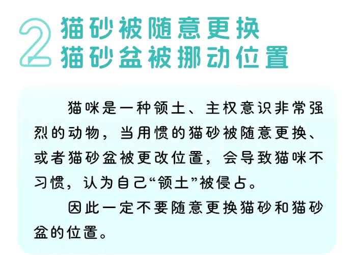猫疯狂的刨猫砂什么意思